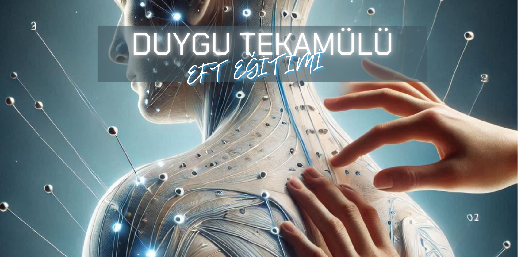 EFT DUYGU TEKAMÜLÜ